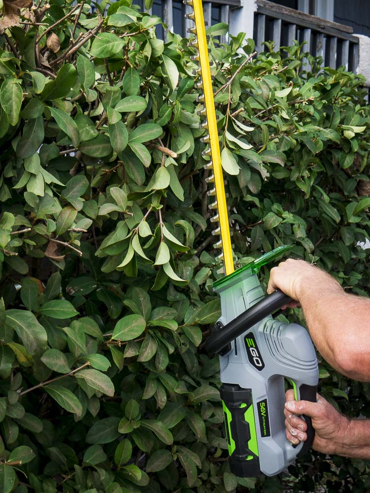 best cordless hedge trimmer 2019