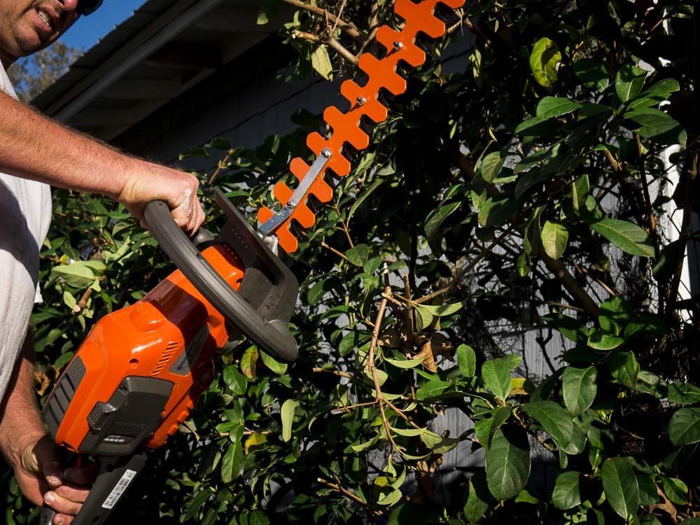 hsa 66 cordless hedge trimmer