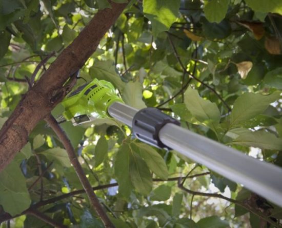 GreenWorks Cordless Pole Saw Review G-Max 40V 8-inch