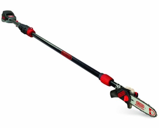 Oregon PS250 40V Cordless Pole Saw