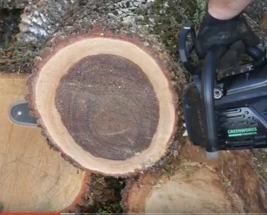 Greenworks 82V chainsaw