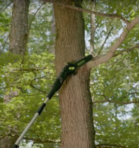 Greenworks Brushless Pole Saw