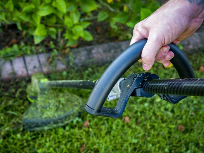 EGO Carbon Fiber String Trimmer
