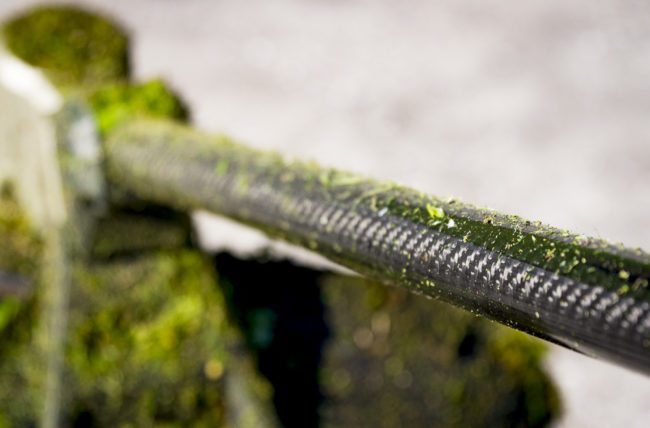 EGO Carbon Fiber String Trimmer