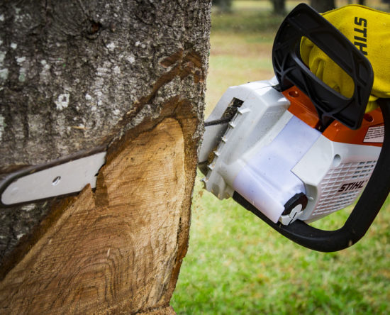 Upside Down Chainsaw Bars