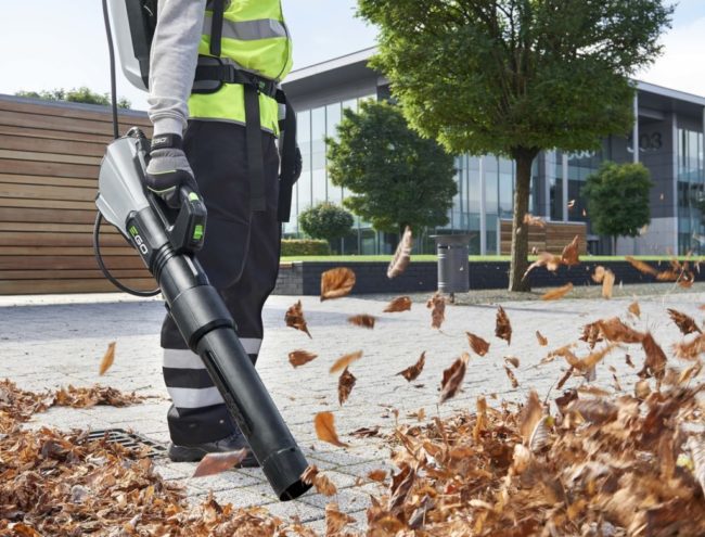 Blowing Leaves