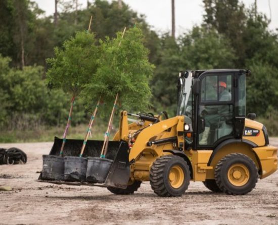 CAT Compact Wheel Loader