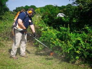 Stihl FSA 130R Trimmer 3