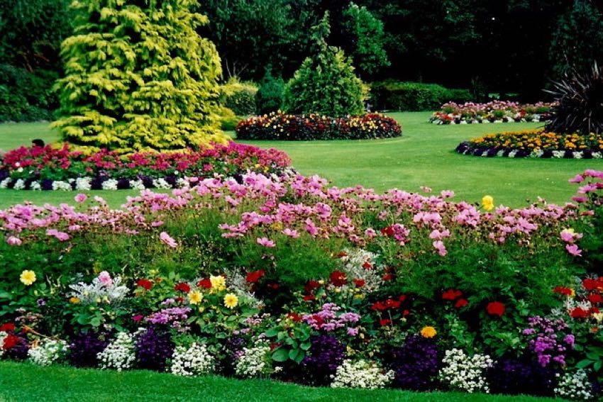 landscaping license