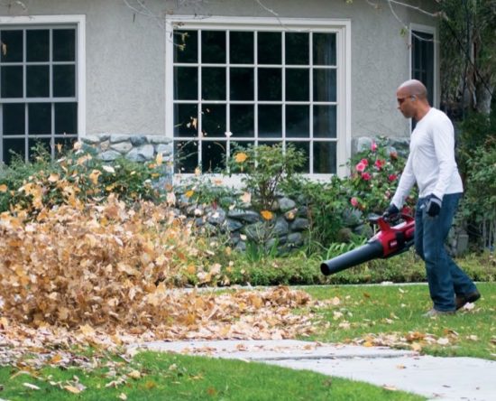 Toro 60V Blower