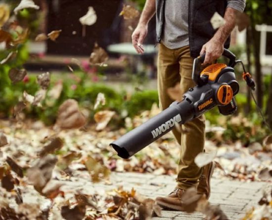 Worx TriVac