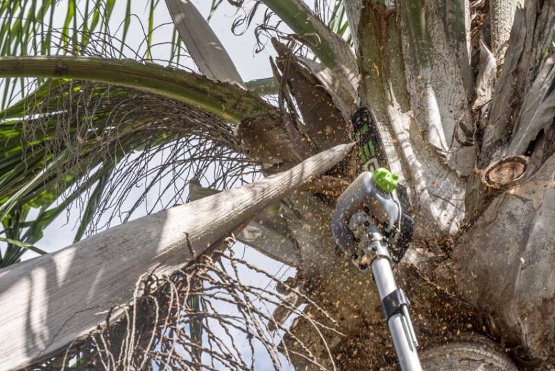 EGO 56V pole saw