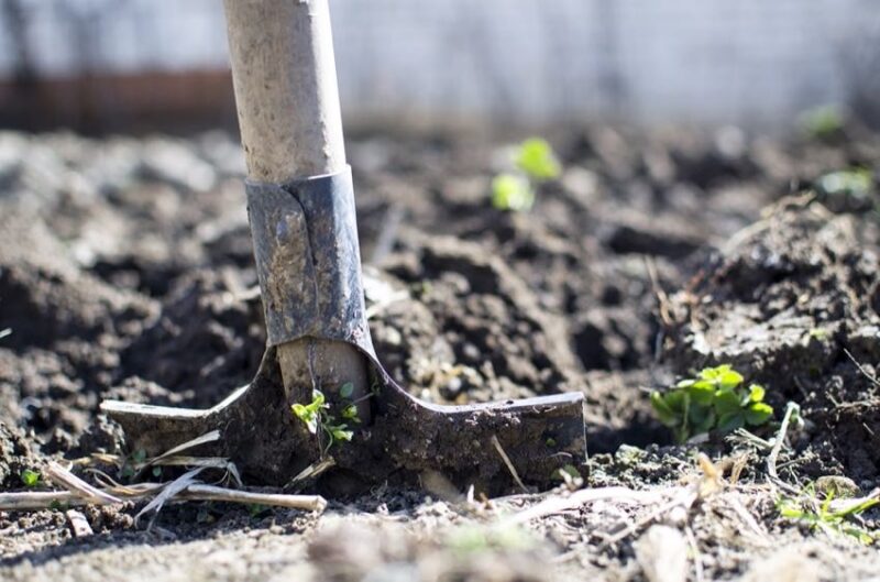 breaking up the dirt and soil
