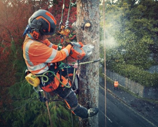 HUsqvarna T540i XP Chainsaw