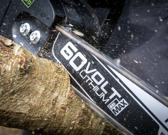 Greenworks Chainsaw Reviews 2020 | What to Know Before You Buy!