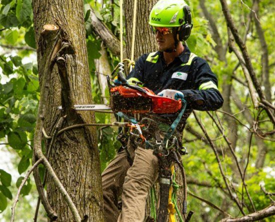 Echo CS-2511P Chainsaw