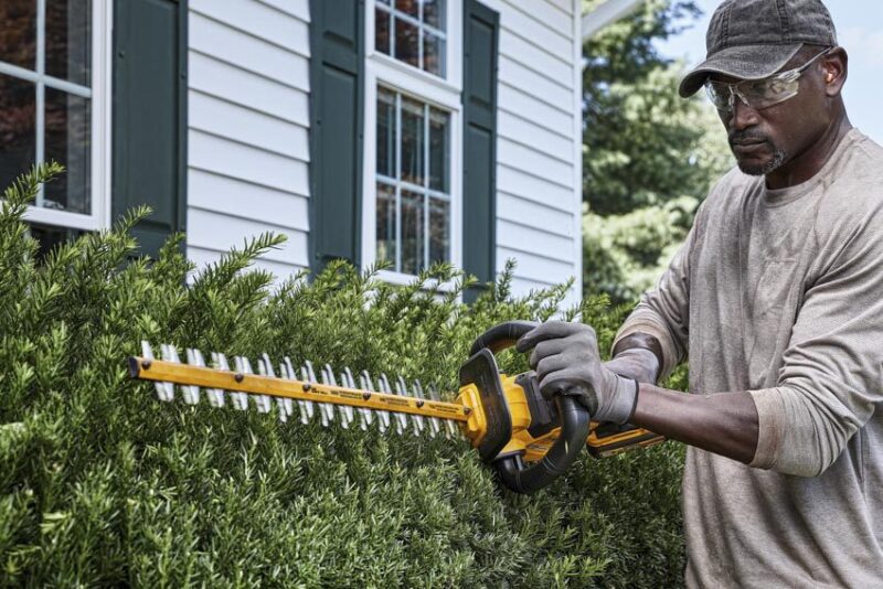 DeWalt DCH870 60V Max