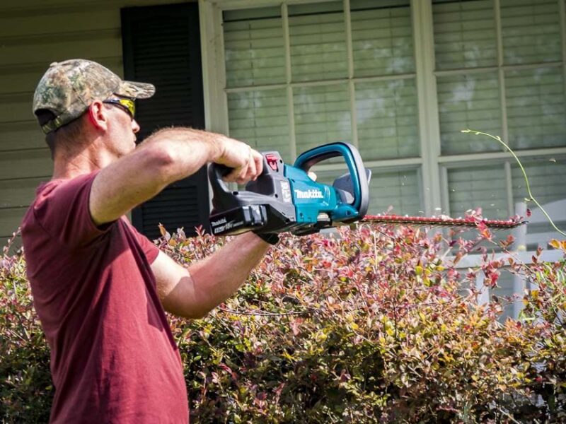 best cordless hedge trimmer reviews