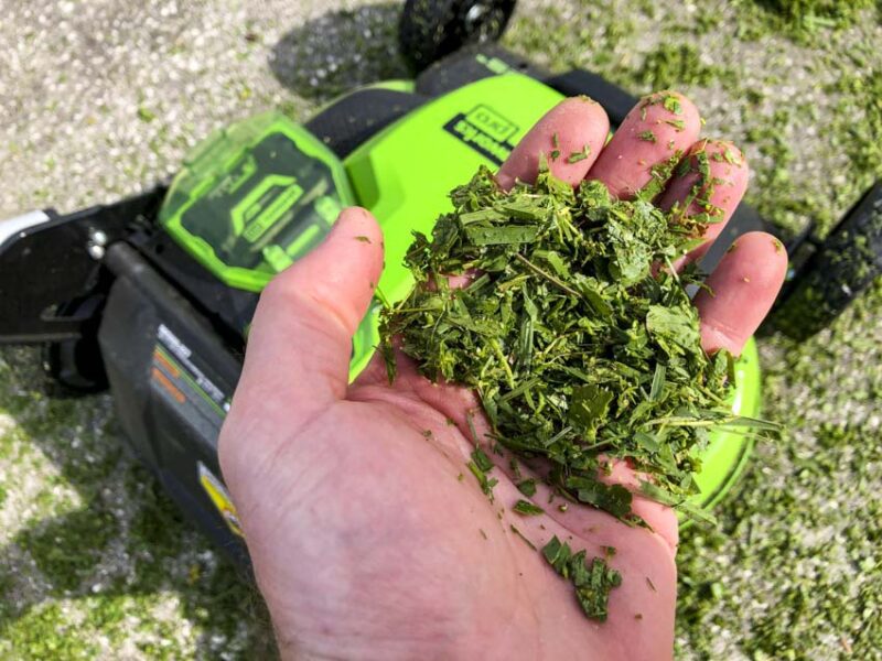 grass cut quality