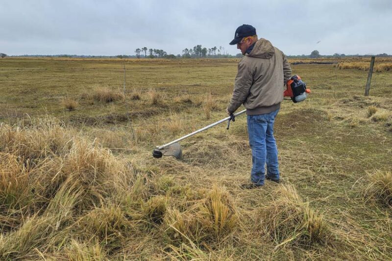 trimming overgrowth brush ranch