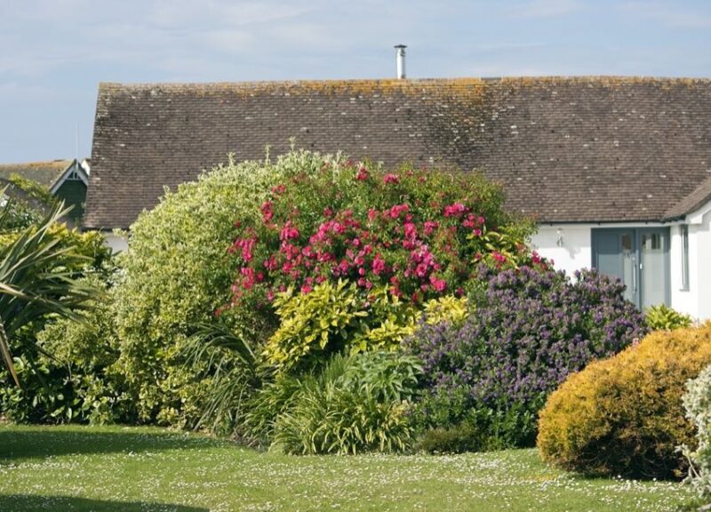 watch those mature tree and shrub sizes
