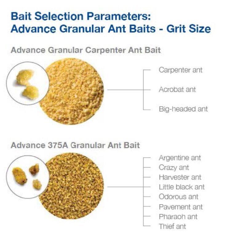 Granular Ant Bait