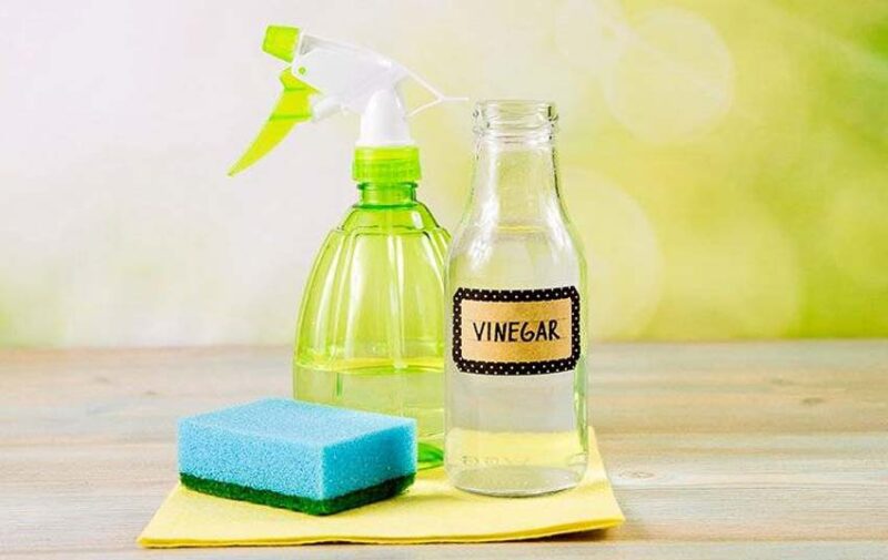 Vinegar ant killer