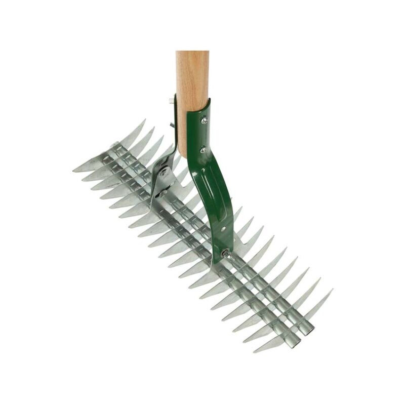 dethatching rake