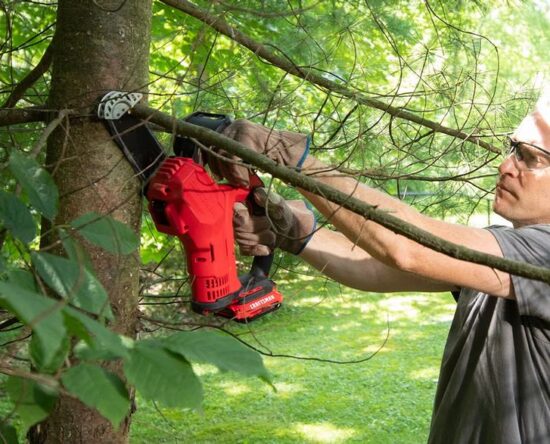 Craftsman V20 Pruning Chainsaw
