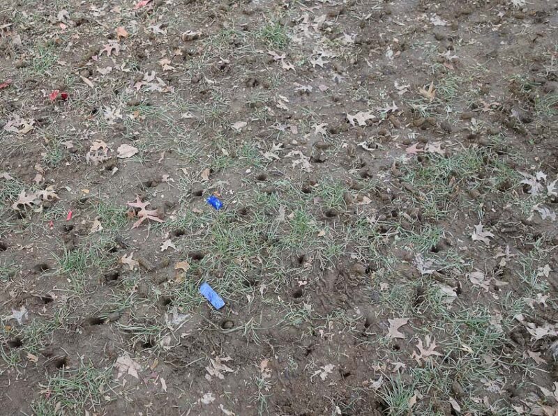 aerating soil