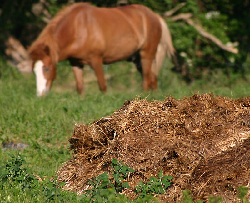 what is organic fertilizer