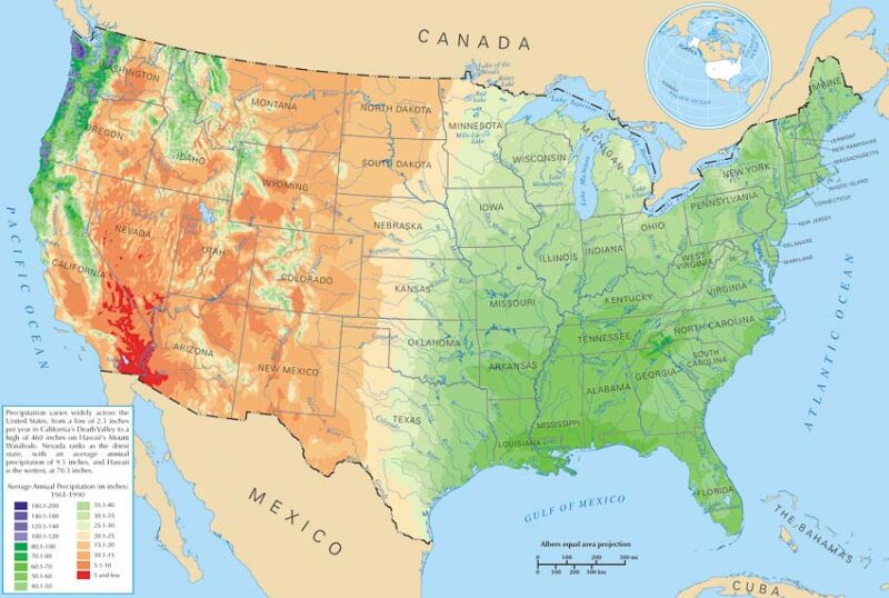 Best Grass for Regional Climates