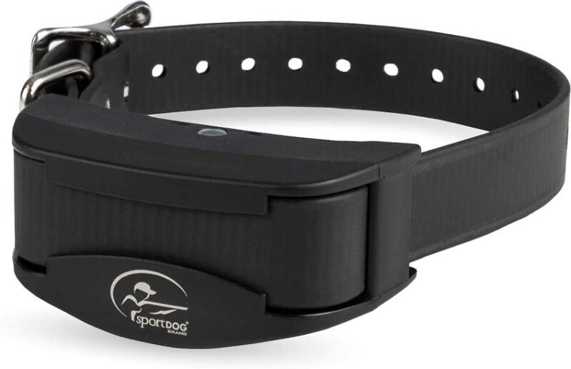 shock collar in ground dog fence