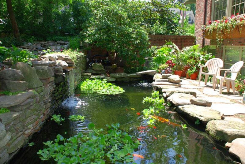 pond budget