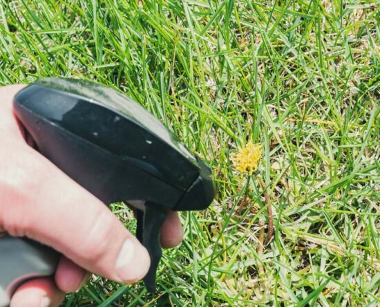 how to make homemade weed killer