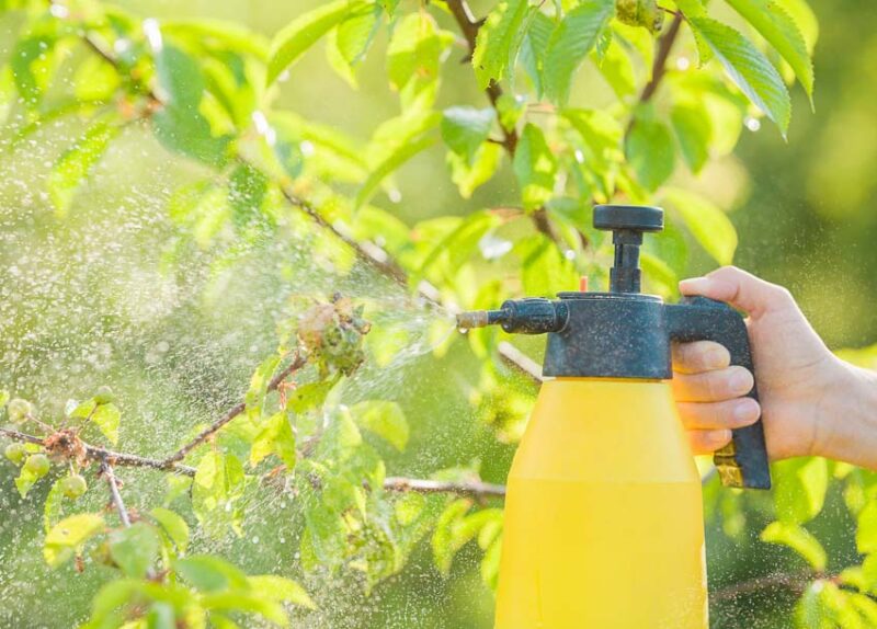 pesticide