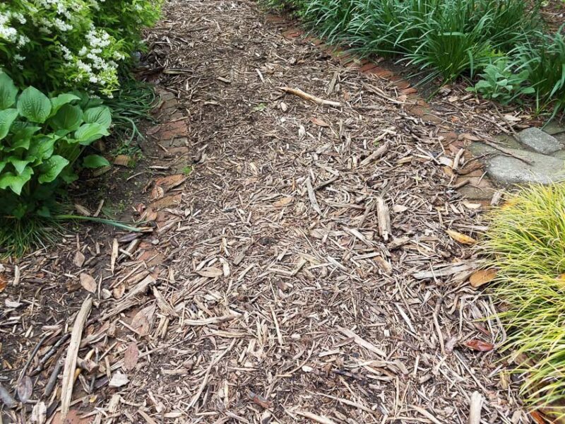 wood chips