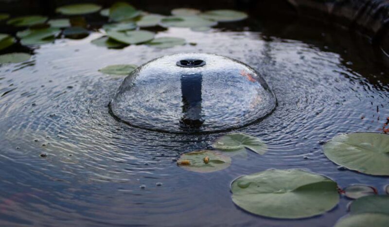 fountain
