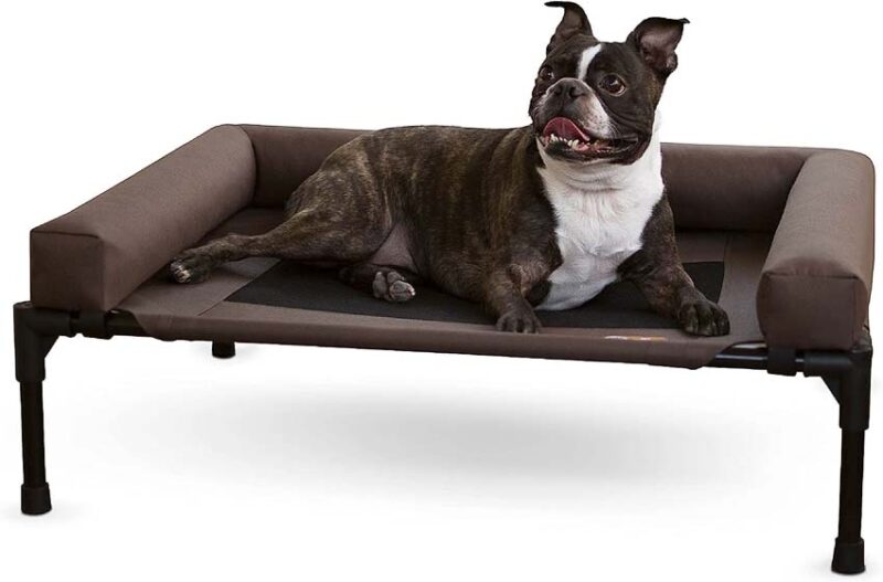 elevated dog bed