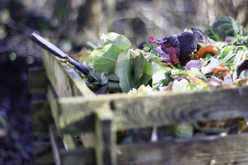 organic compost
