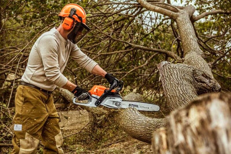 Stihl MS 261 Chainsaw