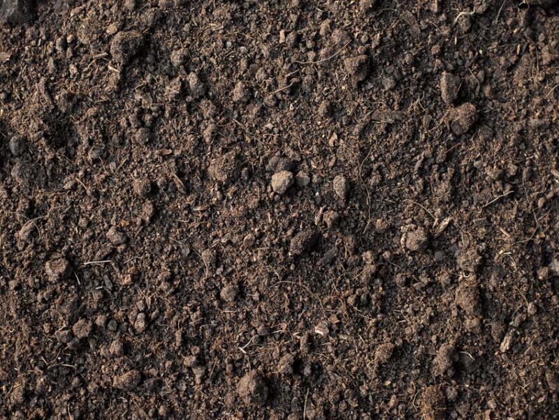 screened loam topsoil cost
