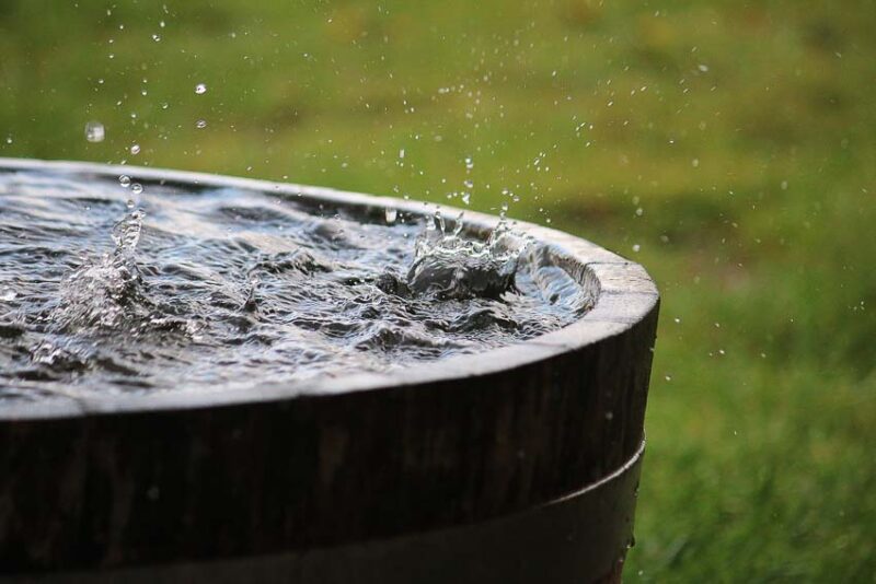 rain barrel collection benefits