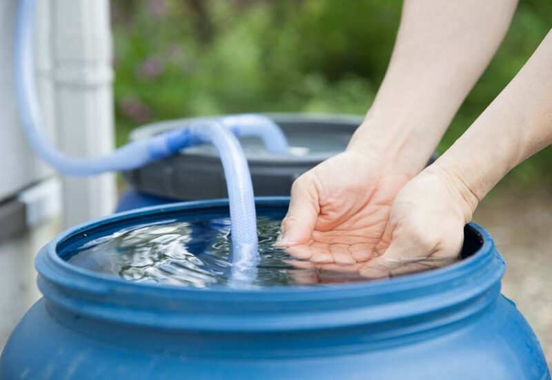 reaping benefits of rainwater
