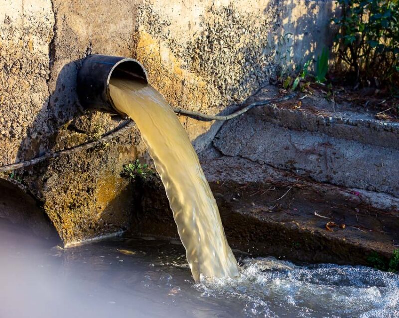 yard water runoff pollution