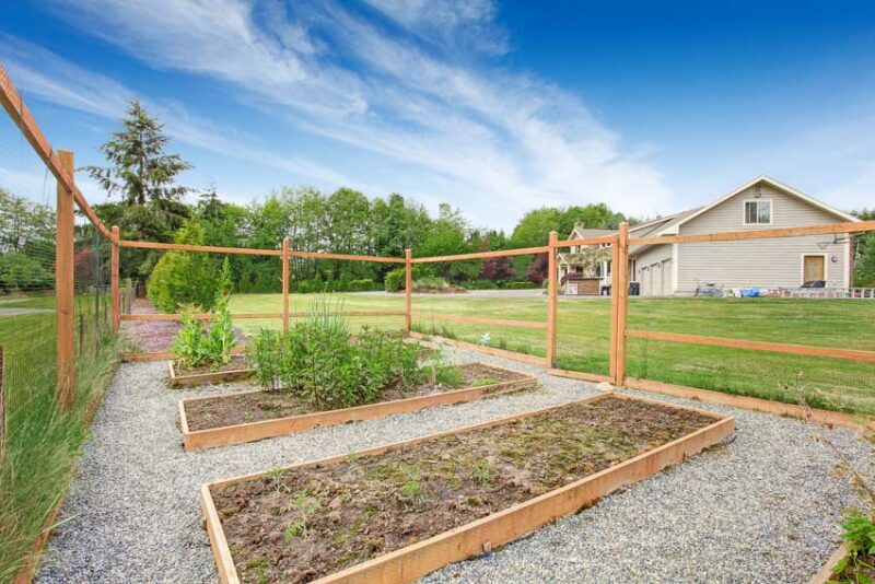 garden fence