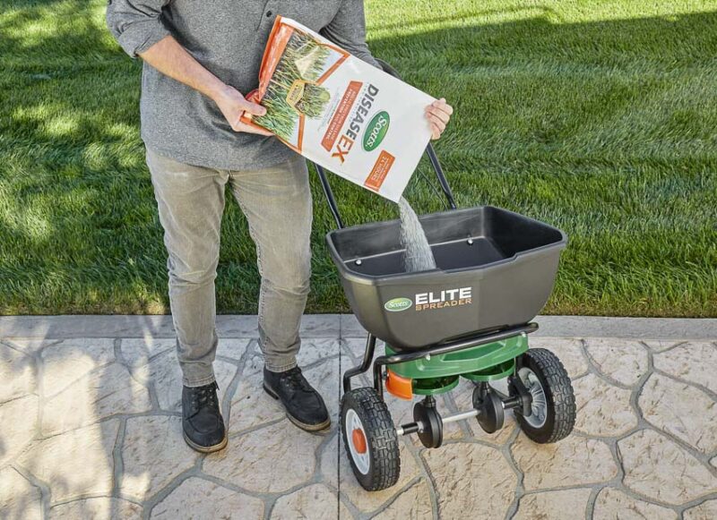 lawn fungicide