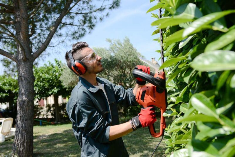 gardener hedge trimming services