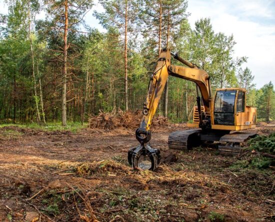 land clearing cost