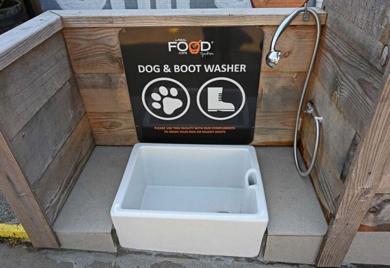 outdoor shower costs